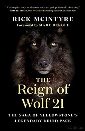 The Reign of Wolf 21: The Saga of Yellowstone's Legendary Druid Pack [KSIĄŻKA]