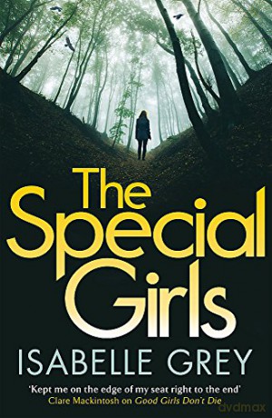 The Special Girls: A gripping summer thriller read full of shocking twists: A devastating crime thriller with a heart-wrenching twist - Isabelle Grey [KSIĄŻKA]
