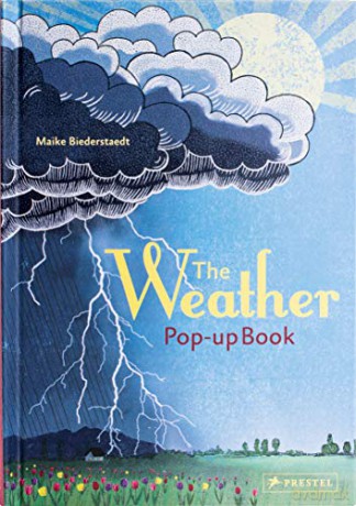 The Weather: Pop-up Book - Maike Biederstaedt [KSIĄŻKA]