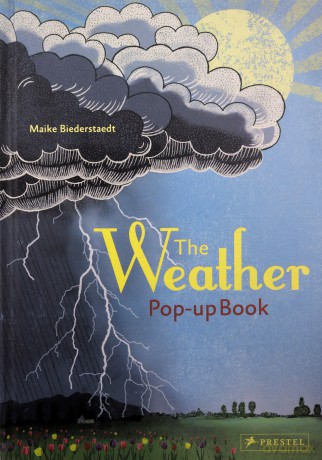 The Weather: Pop-up Book - Maike Biederstaedt [KSIĄŻKA]