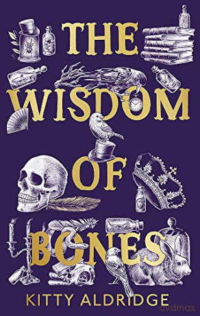 The Wisdom of Bones - Kitty Aldridge [KSIĄŻKA]