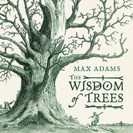The Wisdom of Trees: A Miscellany - Max Adams [KSIĄŻKA]