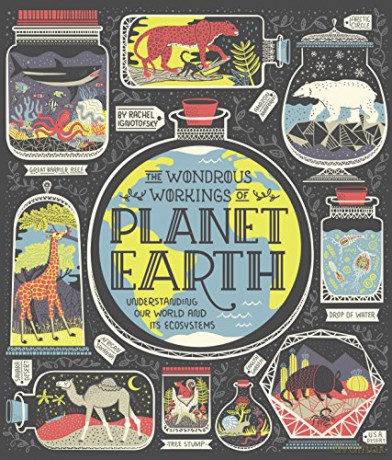 The Wondrous Workings of Planet Earth: Understanding Our World and Its Ecosystems - Rachel Ignotofs [KSIĄŻKA]