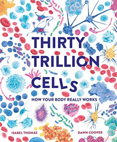 Thirty Trillion Cells: How Your Body Really Works - Isabel Thomas [KSIĄŻKA]