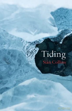 Tiding - Sian Collins [KSIĄŻKA]
