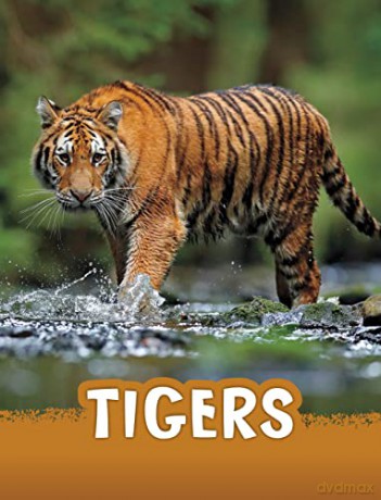 Tigers - Jaycox Jaclyn [KSIĄŻKA]