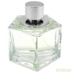Celine Dion Belong Woda toaletowa 100ml spray [PERFUMY]
