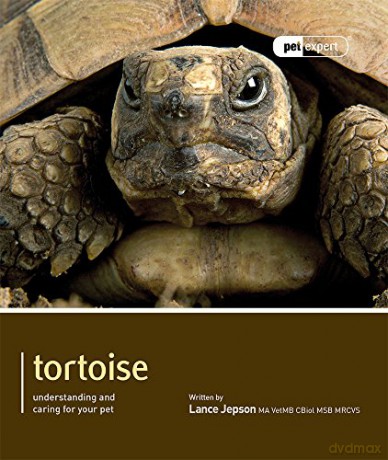 Tortoise - Pet Expert: Understanding and Caring for Your Pet - Lance Jepson [KSIĄŻKA]