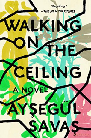 Walking on the Ceiling - Aysegul Savas [KSIĄŻKA]