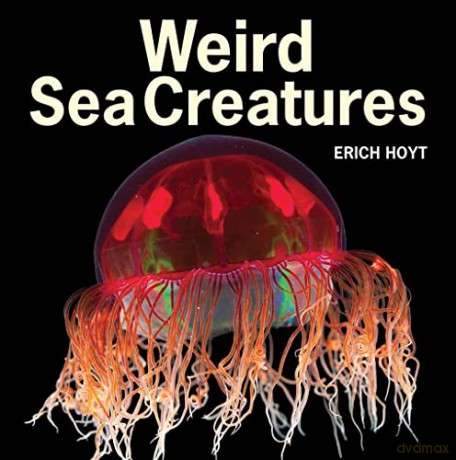 Weird Sea Creatures - Erich Hoyt [KSIĄŻKA]