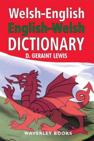 Welsh-English Dictionary, English-Welsh Dictionary - Geraint Lewis [KSIĄŻKA]