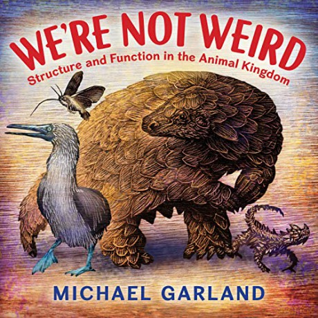 We're Not Weird: Structure and Function in the Animal Kingdom - Michael Garland [KSIĄŻKA]