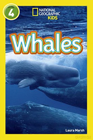 Whales: Level 4 - Laura Marsh [KSIĄŻKA]