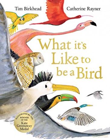 What it's Like to be a Bird - Tim Birkhead [KSIĄŻKA]
