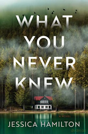 What You Never Knew: A Novel - Jessica Hamilton [KSIĄŻKA]