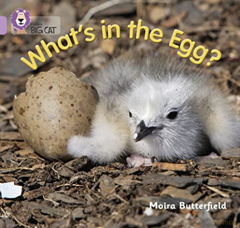 What's in the Egg: Band 00/Lilac - Moira Butterfield [KSIĄŻKA]