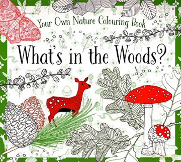 What's in the Woods [KSIĄŻKA]