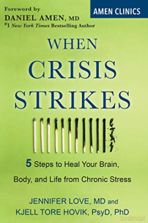 When Crisis Strikes: 5 Steps to Heal Your Brain, Body, and Life from Chronic Stress - Jennifer Love [KSIĄŻKA]