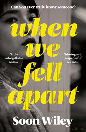 When We Fell Apart: 'Truly unforgettable' Abi Daré - Soon Wiley [KSIĄŻKA]