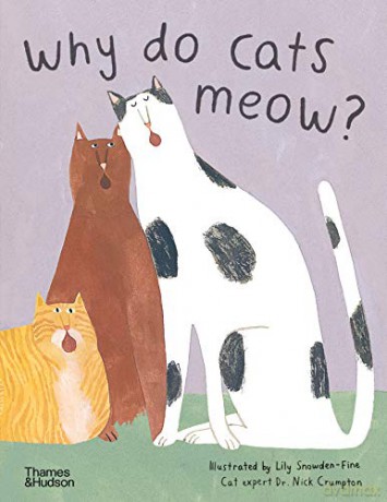 Why do cats meow: Curious Questions about Your Favourite Pet - Lily Snowden-Fine [KSIĄŻKA]