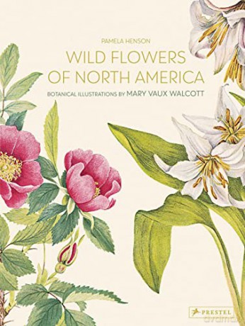 Wild Flowers of North America: Botanical Illustrations by Mary Vaux Walcott - Henson Pamela [KSIĄŻKA]