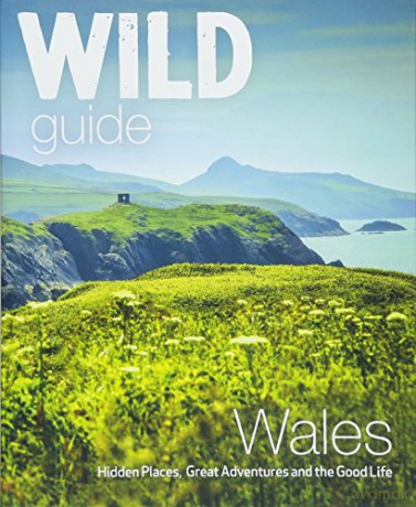 Wild Guide Wales and the Marches - Daniel Start [KSIĄŻKA]
