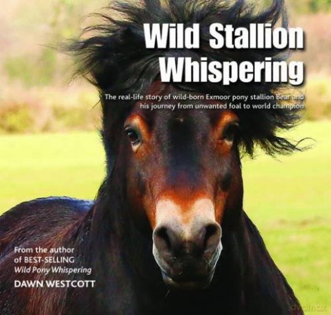 Wild Stallion Whispering: The Real-Life Story of Wild-Born Exmoor Pony Stallion Bear and His Journey from Unwanted Foal to World Champion - Dawn Westcott [KSIĄŻKA]