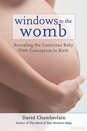 Windows to the Womb: Revealing the Conscious Baby from Conception to Birth - David Chamberla [KSIĄŻKA]