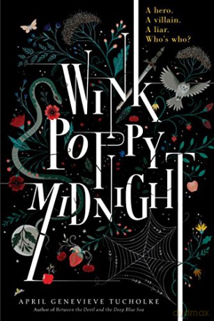 Wink Poppy Midnight: April Tucholke - April G Tucholke [KSIĄŻKA]