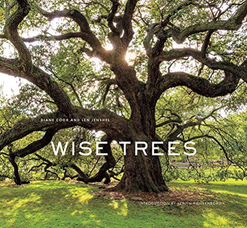 Wise Trees - Diane Cook [KSIĄŻKA]