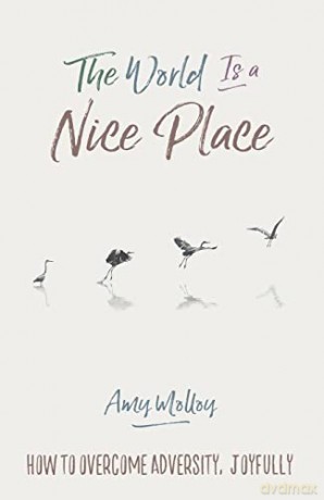 World Is a Nice Place, The: How to Overcome Adversity, Joyfully - Amy Molloy [KSIĄŻKA]