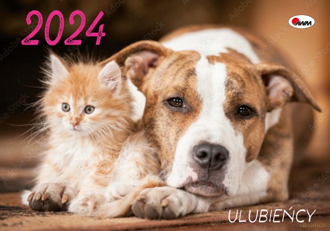 Kalendarz 2024 Ulubieńcy KA4 ścienny [KALENDARZ]