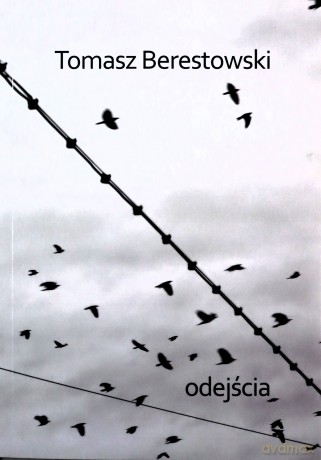 Odejścia - Tomasz Berestowski [KSIĄŻKA]