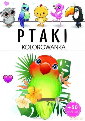 Ptaki - kolorowanka [KSIĄŻKA]