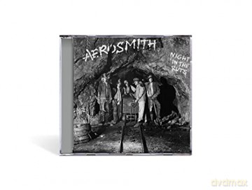 Aerosmith: Night In The Ruts [CD]