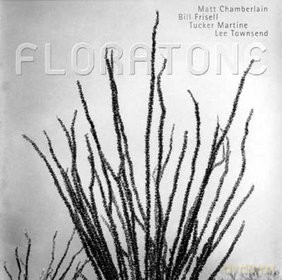 Floratone: Floratone [CD]