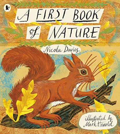 A First Book of Nature - Nicola Davies [KSIĄŻKA]