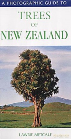 A Photographic Guide to the Trees of New Zealand - Lawrie Metcalf [KSIĄŻKA]