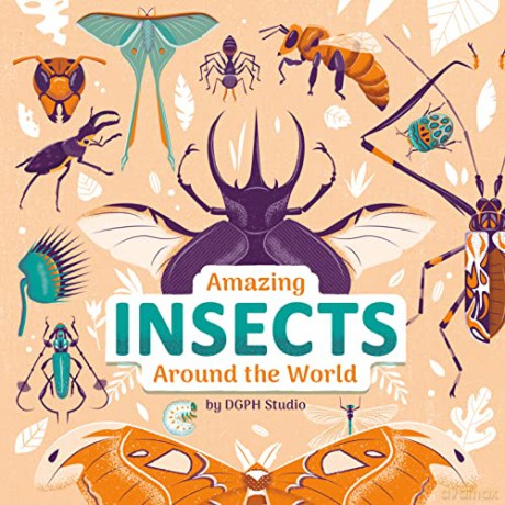 Amazing Insects Around the World - DGPH Stufio [KSIĄŻKA]