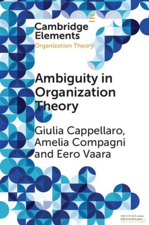 Ambiguity in Organization Theory: From Intrinsic to Strategic Perspectives - Giulia Cappellaro [KSIĄŻKA]