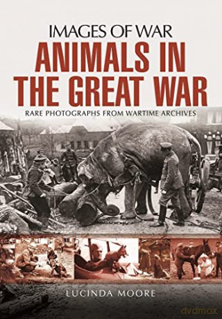 Animals in the Great War - Lucinda Moore [KSIĄŻKA]
