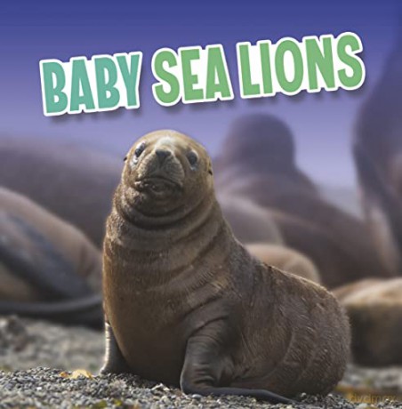 Baby Sea Lions - Martha E. H. Rustad [KSIĄŻKA]
