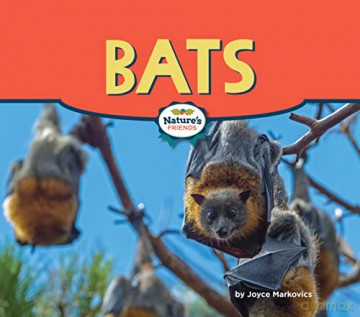 Bats - Joyce Markovics [KSIĄŻKA]