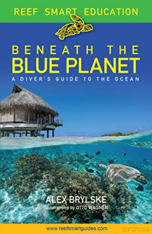 Beneath the Blue Planet: A Diver's Guide to the Ocean and Its Conservation - Otto Wagner [KSIĄŻKA]