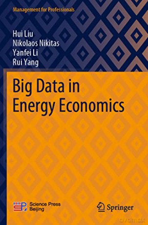 Big Data in Energy Economics - Rui Yang [KSIĄŻKA]