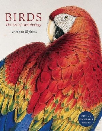 Birds: The Art of Ornithology - Jonathan Elphick [KSIĄŻKA]