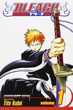 Bleach Vol. 1: Strawberry And The Soul Reapers [KSIĄŻKA]