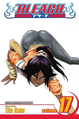 Bleach Volume 17: Rosa Rubicundior, Lilio Candidior - Tite Kubo [KOMIKS]