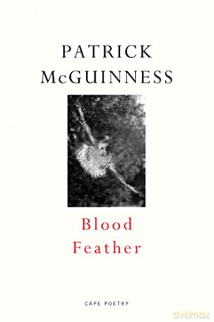 Blood Feather: 'He writes with Proustian élan and Nabokovian delight' John Banville - Patrick McGuinness [KSIĄŻKA]