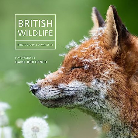 British Wildlife Photography Awards 2023 - Will Nicholls [KSIĄŻKA]